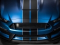 Ford Mustang Shelby GT350R 2015