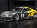 Porsche-Cayman-GT4-(1)