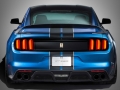 Ford Mustang Shelby GT350R 2015