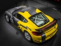 Porsche-Cayman-GT4-(3)