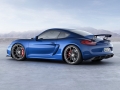 Porsche Cayman GT4 2015