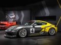 Porsche-Cayman-GT4-(7)